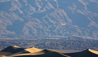 Dune