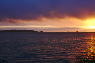 Purple Sunset